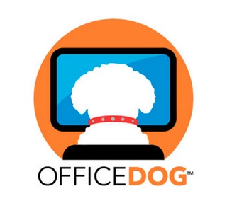 Office Dog