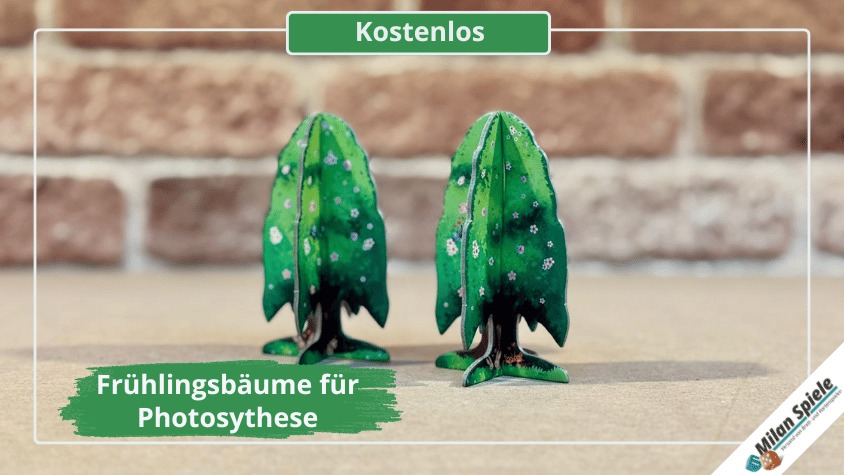 Photosynthese: Frühling fürs Spielbrett!