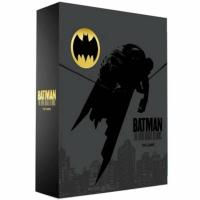Batman : The Dark Knight Returns - The Game (engl.)