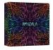 Amygdala Exclusive Edition (international)