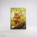 Star Wars: Unlimited Premium Art Sleeves - Wicket