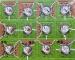 Carcassonne 2. Ed.: Die Wachtürme (Mini-Erw.)