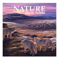 Nature: Tundra Module (Exp.) (engl.)