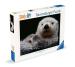 Puzzle: Süßer kleiner Otter (500 Teile)
