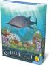 Riffwelten - Gefährdete Fische (Mini-Erw.)