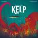 Kelp (engl.)